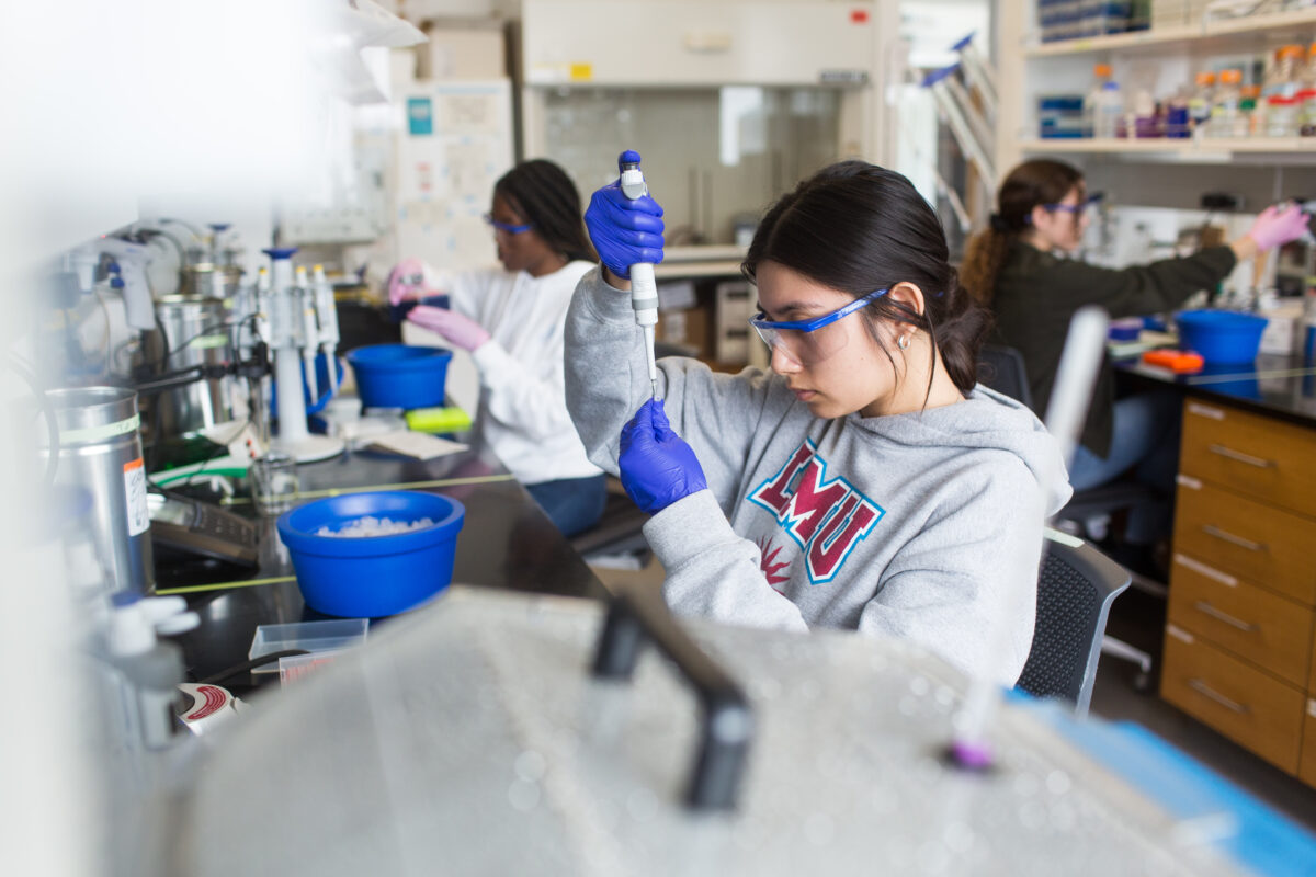 Here is an action shot of students working in the lab from summer 2023